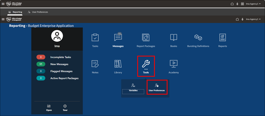 Updating User Preferences